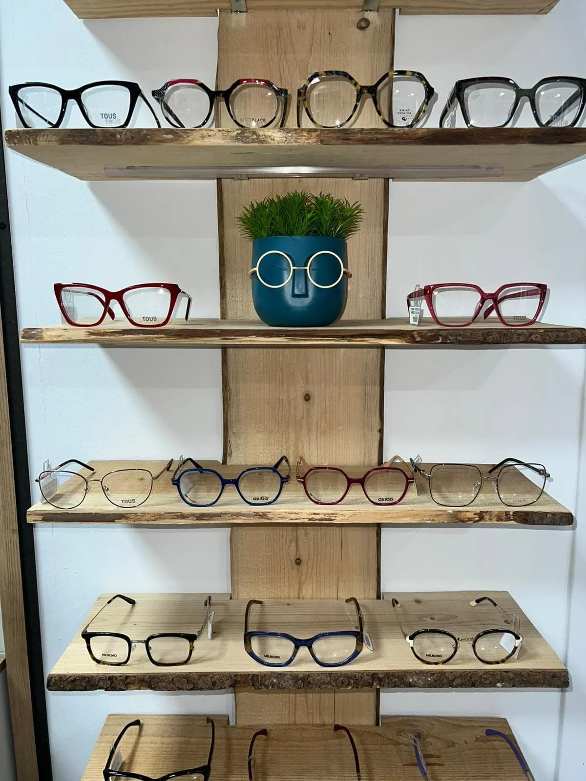 Expositor del centro óptico Siente con gafas y productos para lentillas